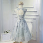 Elegant A-Line Scoop Sleeveless Open-Back Silver Tulle Short Homecoming Dress   cg10706