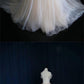 LIGHT CHAMPAGNE TULLE LONG PROM DRESS, WEDDING DRESS cg2027