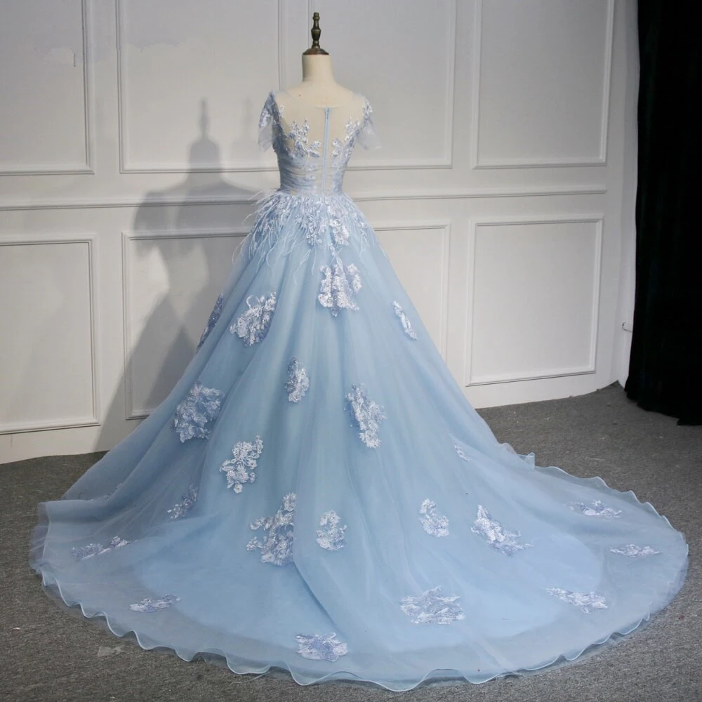 Blue Short Sleeves Lace Applique Organza Tulle Party Dress Prom Dress   cg21266